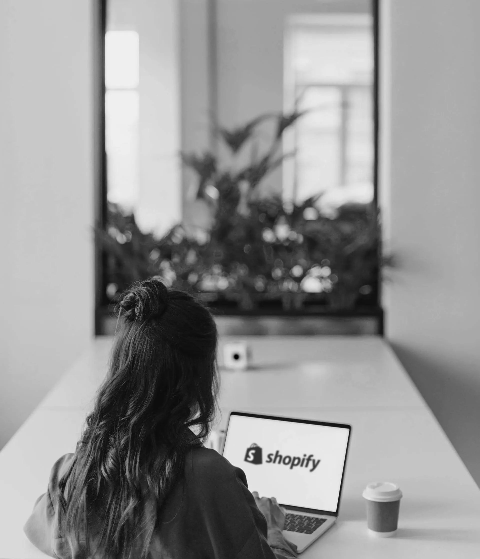What does a Shopify consultant do? Pluro Shopify Agency